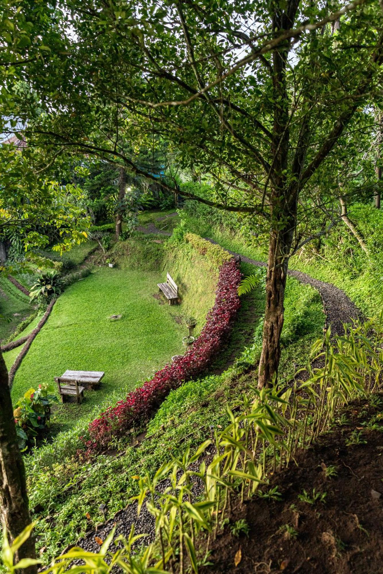 Bed and Breakfast Garden Terrace Bali Gobleg  Экстерьер фото