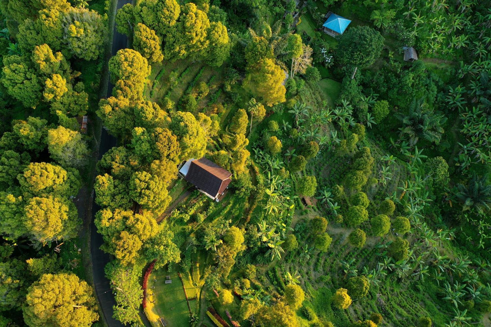 Bed and Breakfast Garden Terrace Bali Gobleg  Экстерьер фото